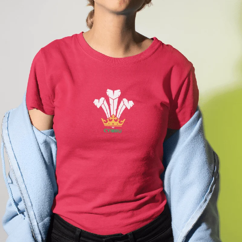 Modern Welsh Feathers - Women's T-Shirt